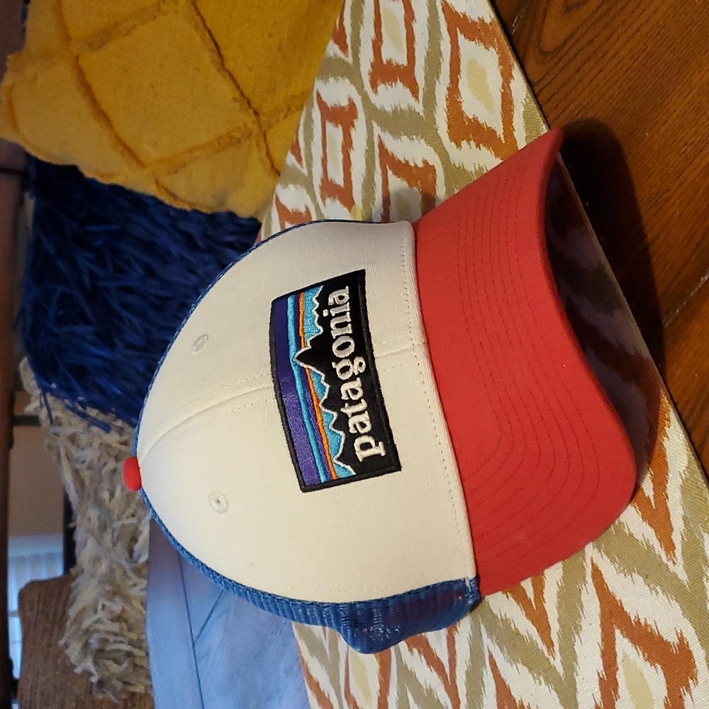 Patagonia Snapback